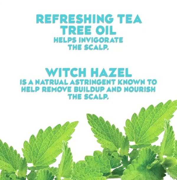 Refreshing Tea Tree Mint Dry Scalp Treatment