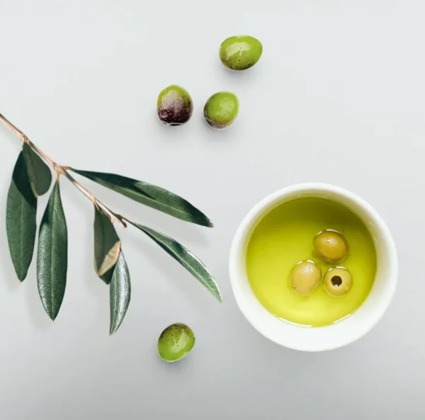 EcoStyler Olive Oil Gel - Moisturizes & Tames Hair Damage - 8 oz